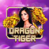 Dragon Tiger roobet live casino