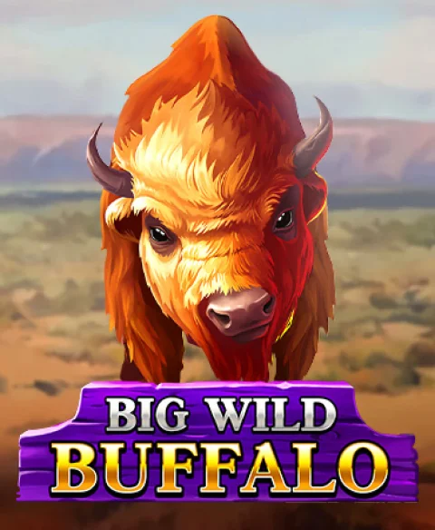 Play Big Wild Buffalo at Roo Bet Casino